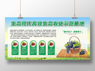 农业示范基地葡萄种植基地展板简介果园展板